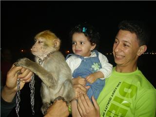 je vs pr�sente 1 pti singe a kesh